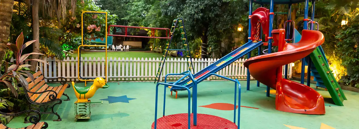 Olive Sector Green Olive Sector Green